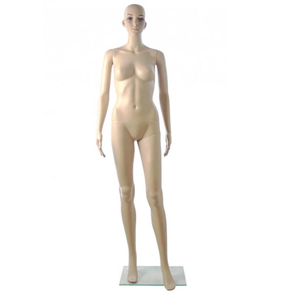 SDF/5X -Female – Arms by Side
