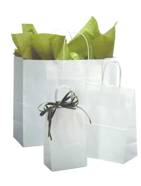 White Recyclable Kraft Paper Bags | Twisted Paper Handles