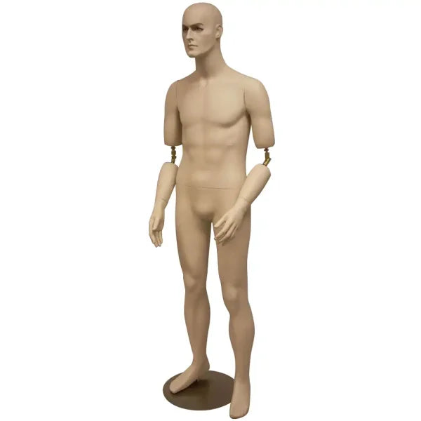 SDMD-BC8S / Male Fibreglass Mannequin